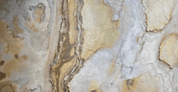 Close-up of a textured stone surface with natural brown and gray patterns.